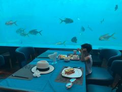 -瑞德姆美人鱼海底演艺主题餐厅(亚龙湾店)