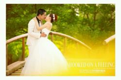 点击看大图 -苏菲亚婚纱影楼尊爵店(昆区店)