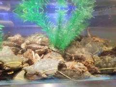 -V-ONE西雅图海鲜自助餐厅(仓山万达广场店)