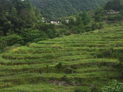 -石台牯牛降景区