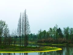 -桤木河湿地公园