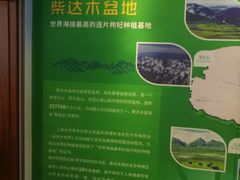 -西宁市东关清真大寺
