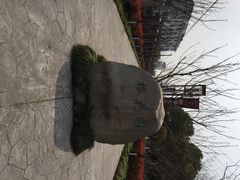 iphone_upload_pic-高东镇樱花园