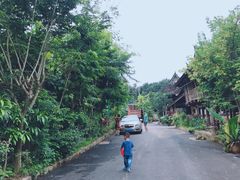 -西双版纳傣族园