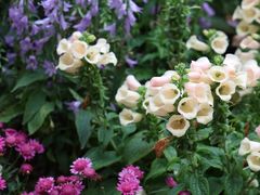 -人民公园(罗湖区)