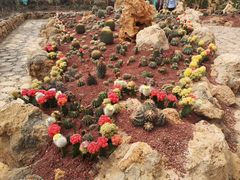 -南通洲际绿博园