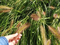 -济南国际园博园