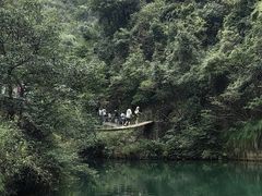 -大奇山国家森林公园