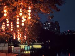-荔湾湖公园
