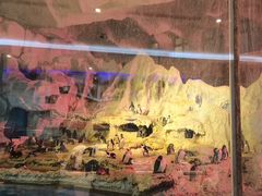 -帝企鹅自助餐厅•儿童岛•真企鹅(长隆企鹅酒店)