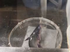 -鱼酷活鱼烤鱼(昆明路店)