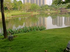 -王借岗森林公园