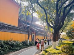 -亭林园-华藏寺