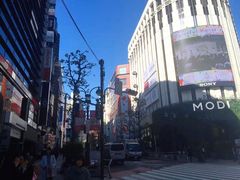 -涩谷区
