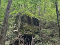 -牛背梁国家森林公园