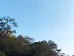 -滴水岩森林公园
