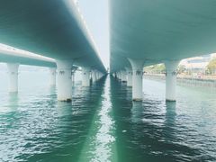 -演武大桥观景平台