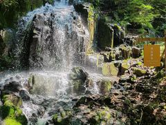 -本溪汤沟绿石谷森林公园