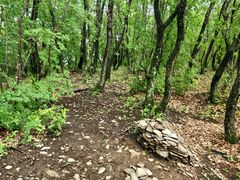 -帽儿山国家森林公园