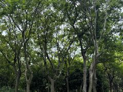 -蠡湖大桥公园