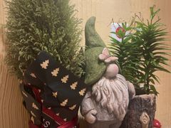 -萤火虫咖啡(后海店)