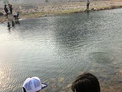 -燕塞湖鸟语林景区