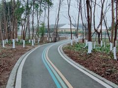 -桤木河湿地公园