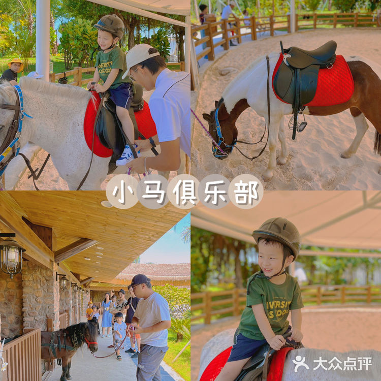 珠海旅游｜近距离接触小动物 小孩子的童话乐园