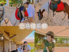 -珠海海泉湾神秘岛亲子乐园