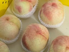 -老袁家蜜桃农场·阳山水蜜桃