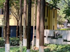 -T80科技文化国际社区-停车场