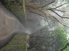 -普陀山风景区-佛顶山