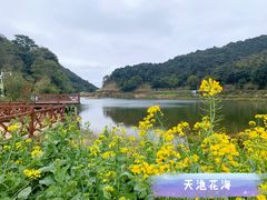 -广州市石门国家森林公园