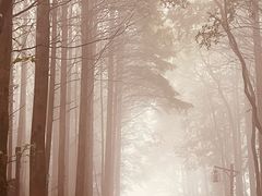 -山王坪喀斯特国家生态公园
