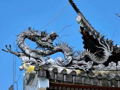 -三垟湿地