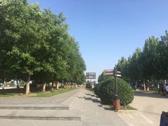 -武清南湖绿博园