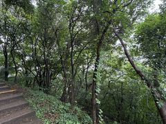 -句容茅山景区