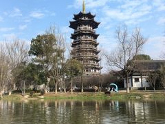 -洋湖国家湿地公园