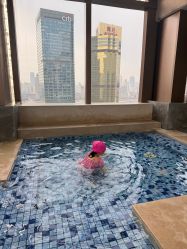 -巍阁高端月子会所