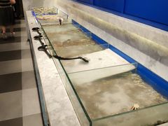 -火锅岛潮牌自助餐厅(天津天佑城店)