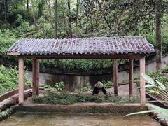 -中国大熊猫保护研究中心雅安碧峰峡基地