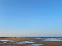 -日照海滨国家森林公园