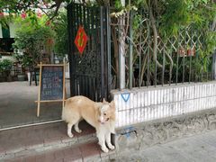 -豆舞咖啡(民乐路店)