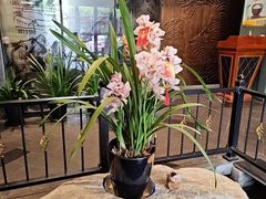 -山水雅居·江南雅宴(运河公园店)