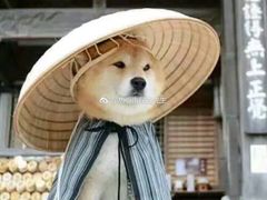 -中央财经大学-食堂