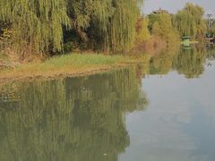 -洛阳市隋唐城遗址植物园