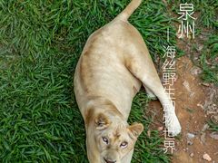 -泉州海丝野生动物世界