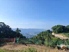 -缙云山景区