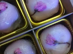 -云朵上的鱼(莘庄店)