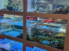 -石锅苗苗鱼(武汉首店)